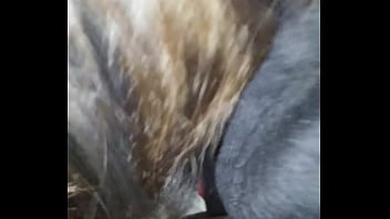 Gadis Asia Berbodi Montok Dan Menggoda