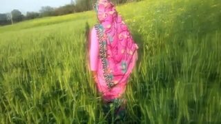 Video Panas Pasangan Punjab Yang Menggila Di Ladang Mereka